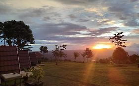 Bugo Camp Glamping & Natural Activity